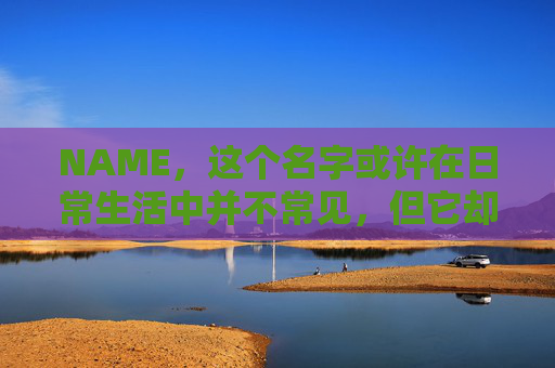 NAME，这个名字或许在日常生活中并不常见，但它却在某些领域里扮演着重要的角色。今天，让我们一起来探索这个名字背后的故事和意义